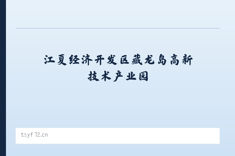 江夏经济开发区藏龙岛高新技术产业园 - 温州市鹿城区瑞彩服装店 列表图